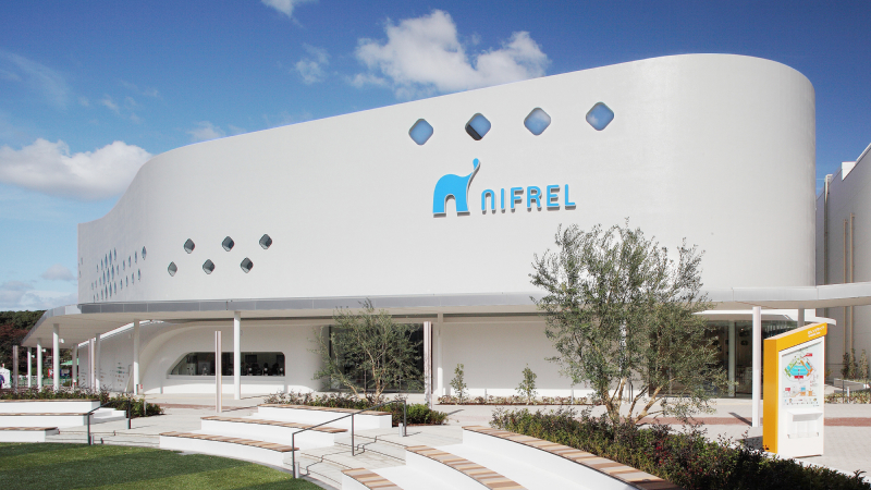 正面からの外観