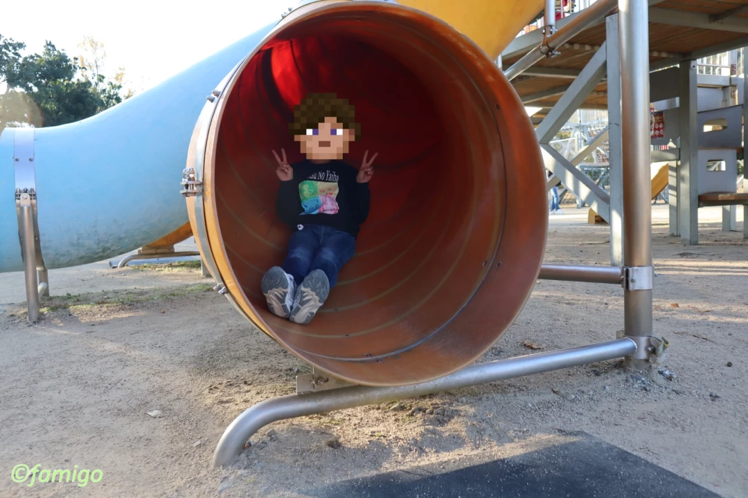 あすたむらんど徳島の冒険の国の滑り台でポーズをとる子ども