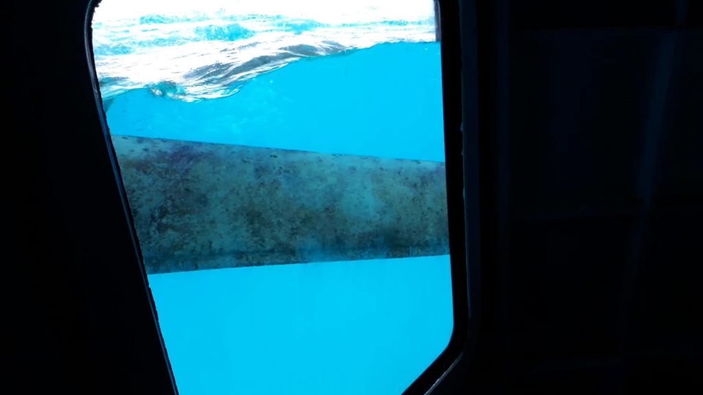 水中観光船の窓からの景色