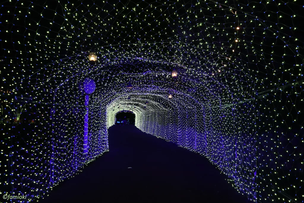 光の遊園地のトンネル